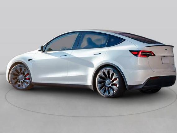 TESLA MODEL Y 2024 7SAYGDED7RF127413 image